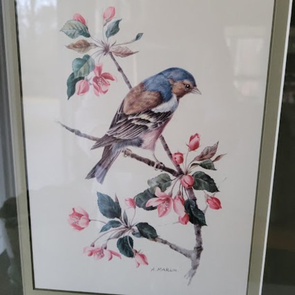 A. Marlin Bird Prints - Picture 8 of 14